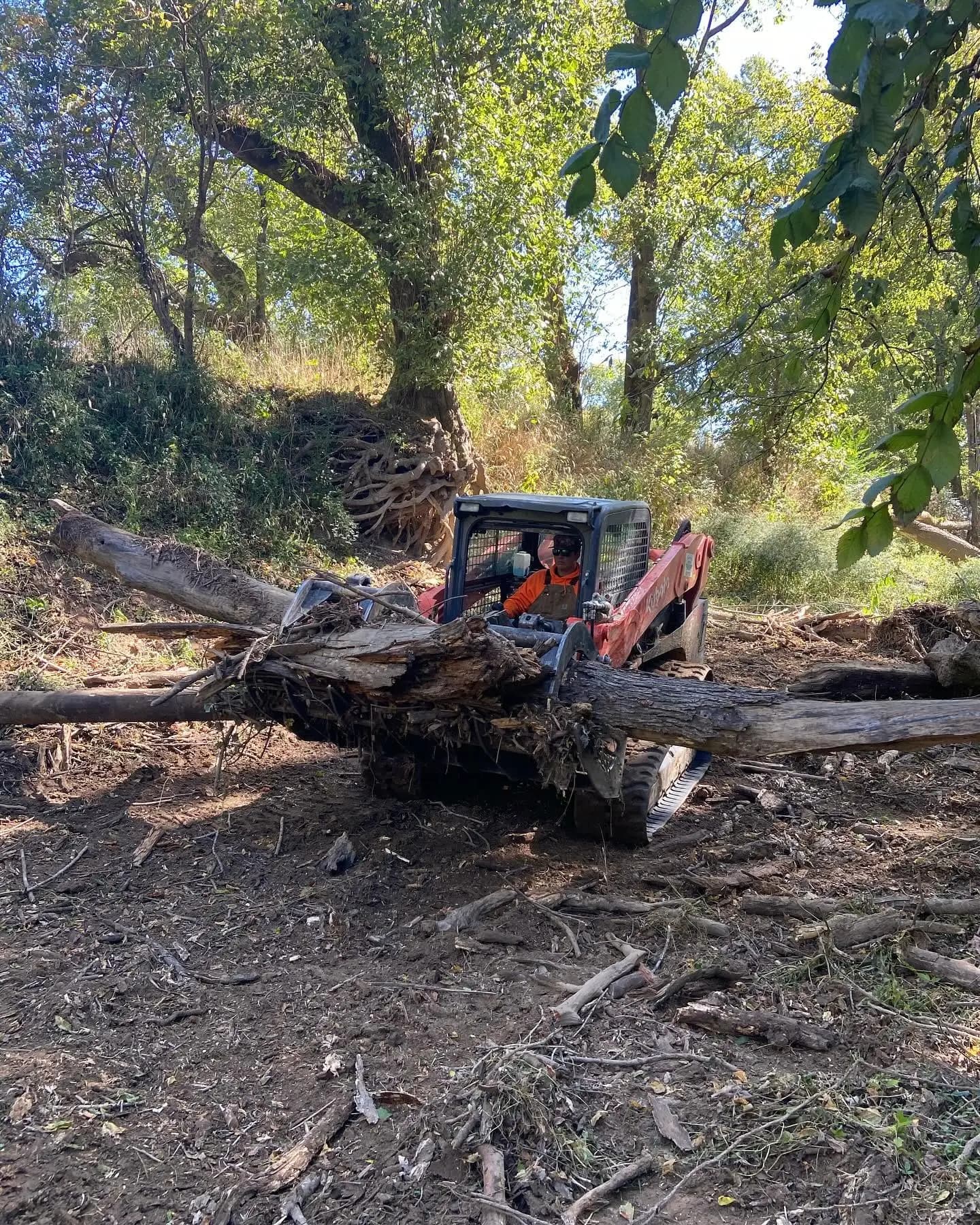 Track loader clearing fallen logs and debris from a wooded creek bank