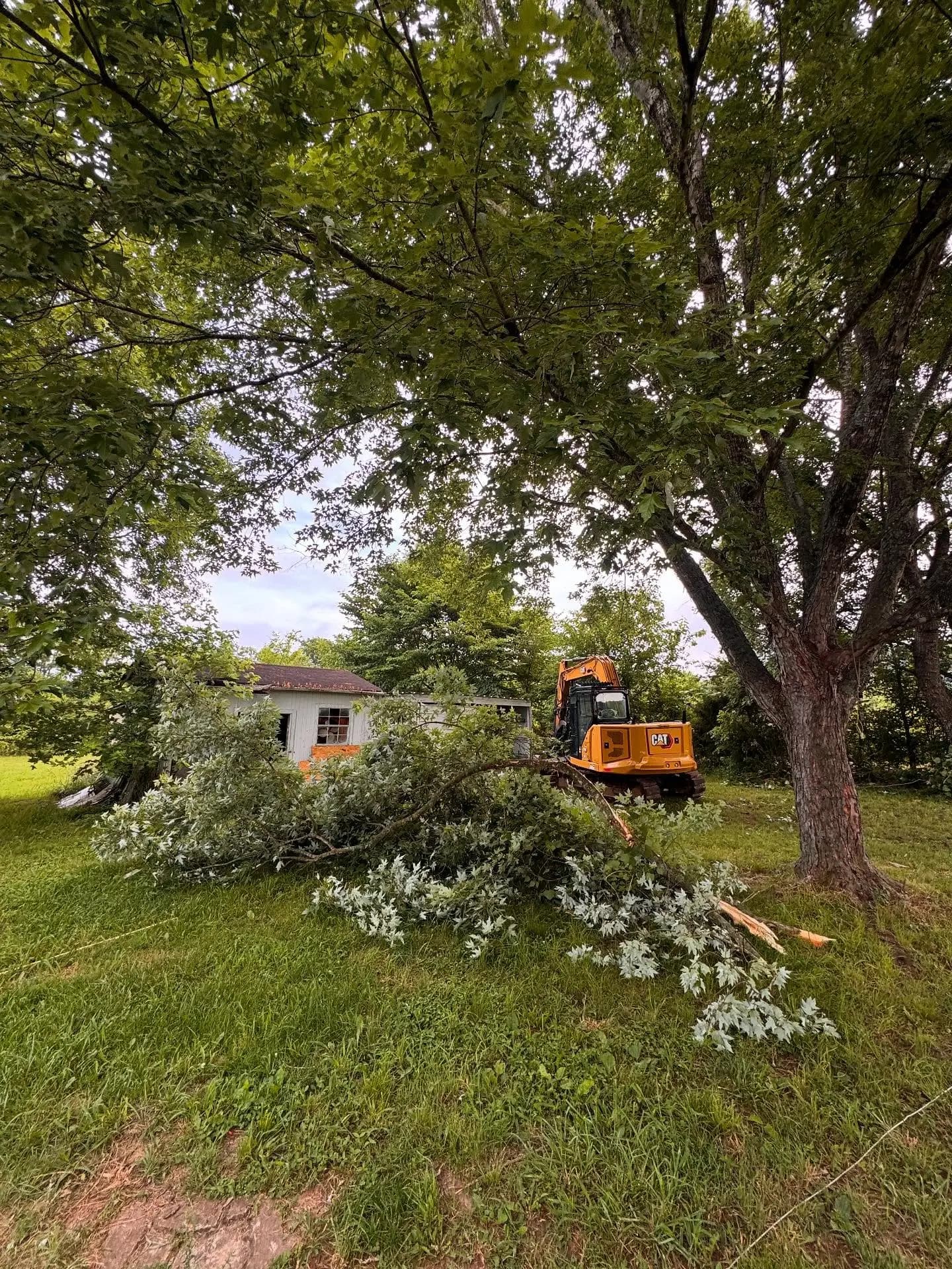 CAT excavator behind a fallen tree limb near an old shed ready for demolition